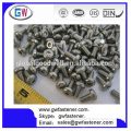 304 Stainless Steel Torx Machine Screw